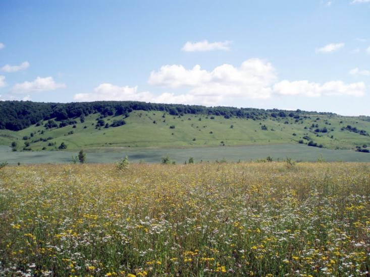 Гутисько з panoramio.com - Gutysko