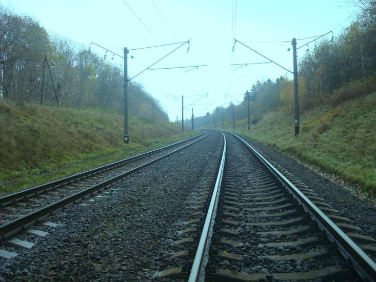 Рідкодуби з panoramio.com - Редкодубы