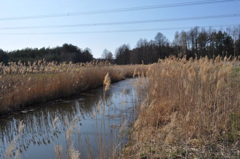 Торф'яне з panoramio.com - Торфяное