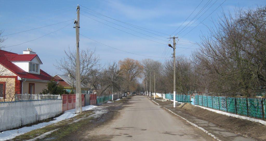 Крилів з panoramio.com - Крилів