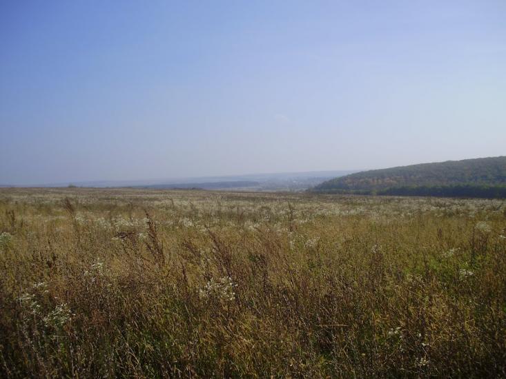 Руські Тишки з panoramio.com - Руські Тишки