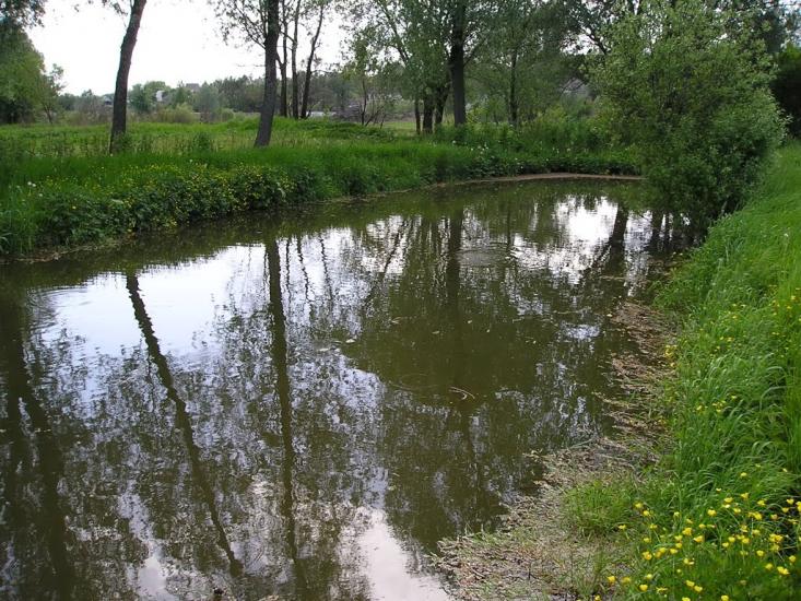 Черкаська Лозова з panoramio.com - Черкасская Лозовая