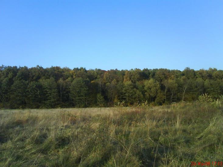 Рясне-Руське з panoramio.com - Рясное-Русское