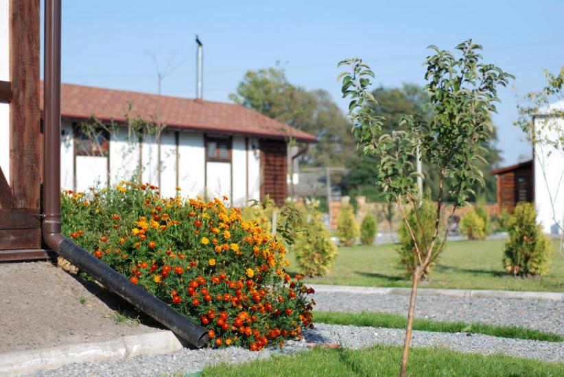 Шабельники з panoramio.com - Шабельники