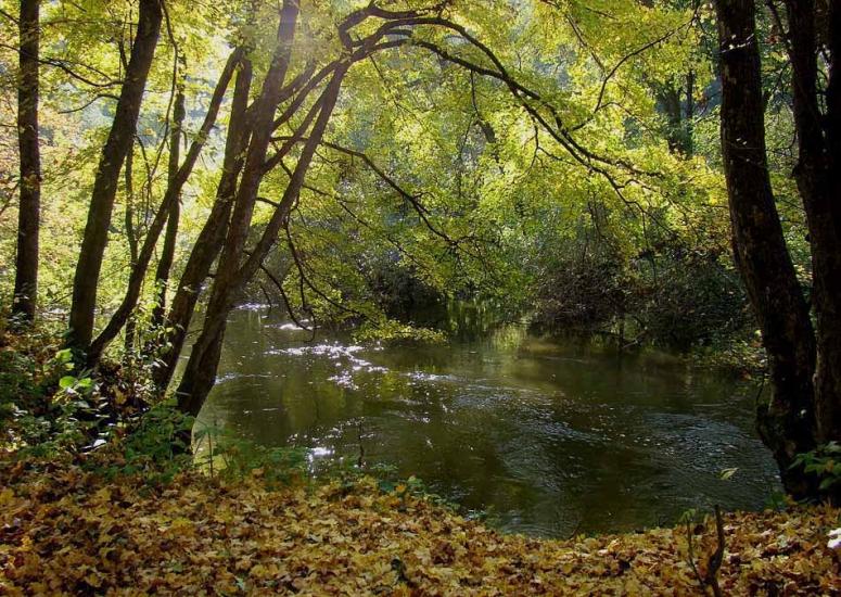 Іванківці з panoramio.com - Иванковцы