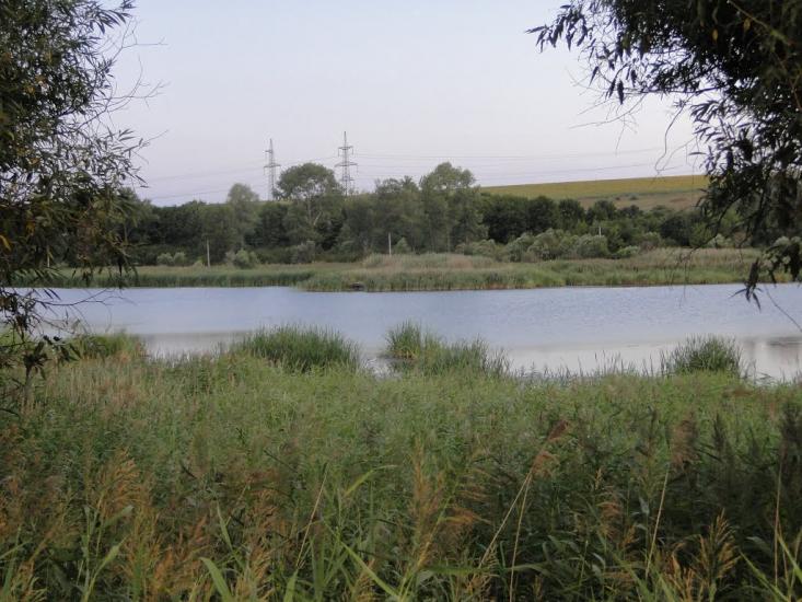 Вільхівка з panoramio.com - Вільхівка