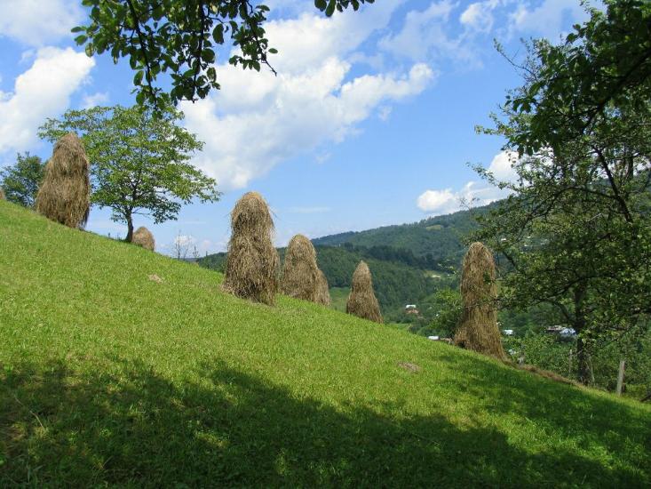 Бабин з panoramio.com - Бабин