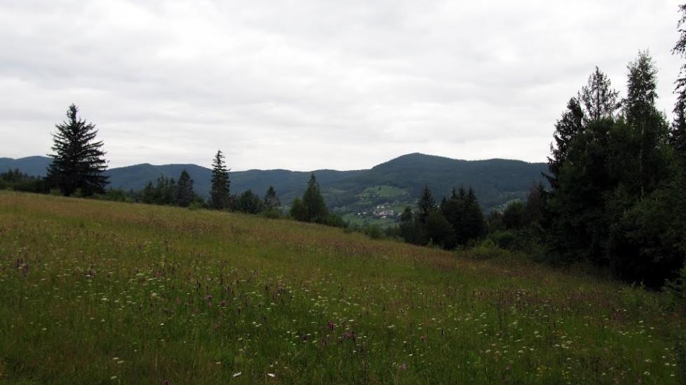 Букове з panoramio.com - Букове