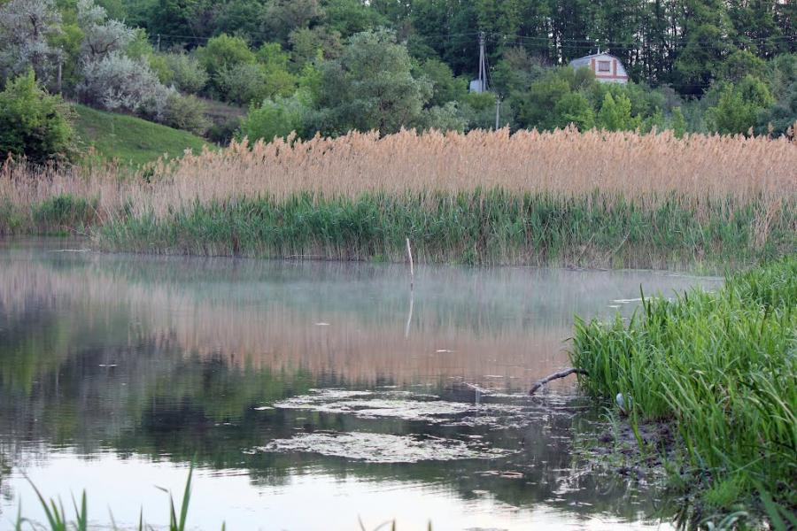 Геніївка з panoramio.com - Geniyivka