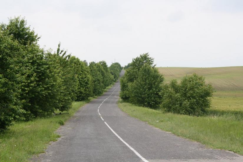 Верхівка з panoramio.com - Верховка