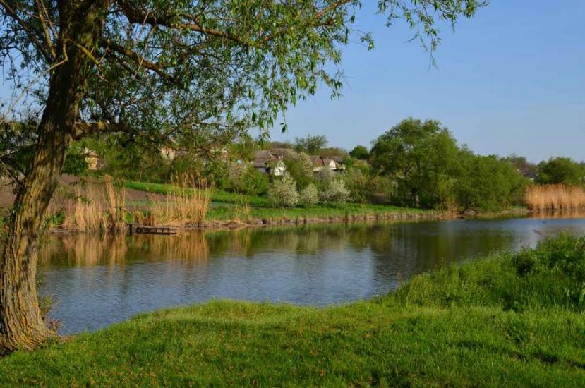 Перегонівка з panoramio.com - Перегоновка