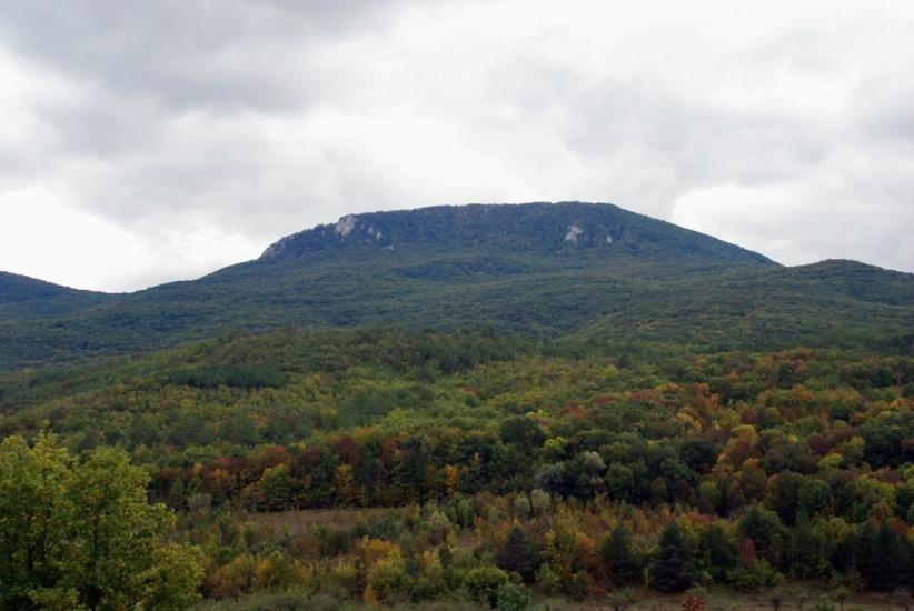 Щасливе з panoramio.com - Schaslyve