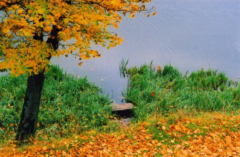 Свірж з panoramio.com - Свирж
