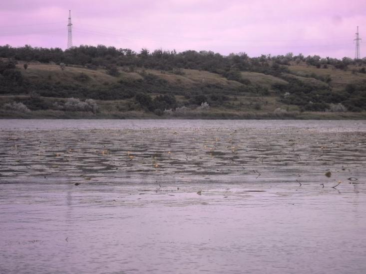 Гур'ївка з panoramio.com - Гурьевка