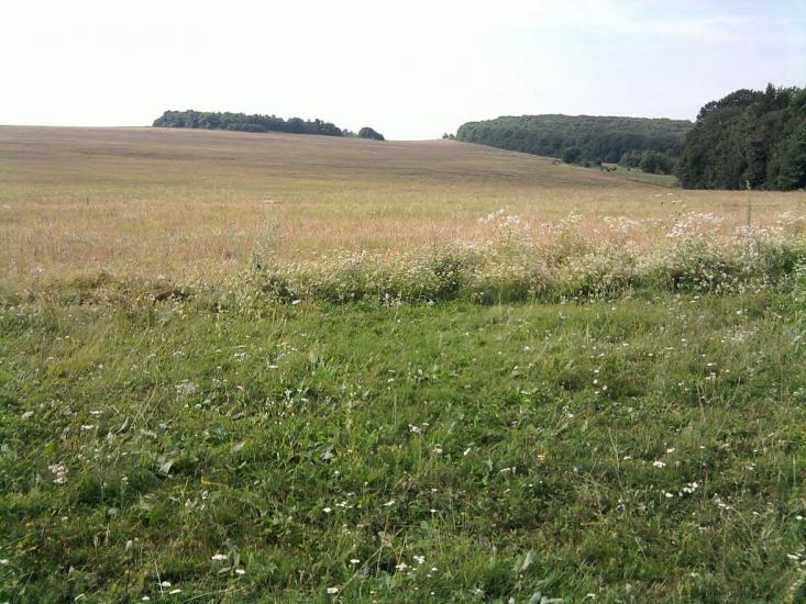 Карачківці з panoramio.com - Карачківці