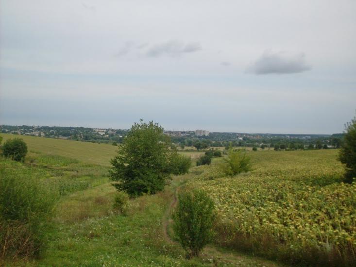 Млинки з panoramio.com - Млынки