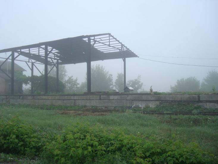 Дунаївці з panoramio.com - Дунаевцы