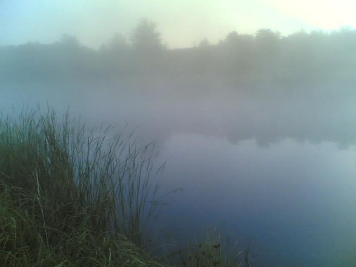 Кам'янка з panoramio.com - Камянка