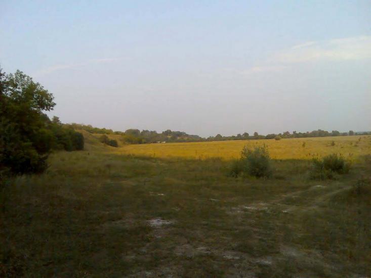 Араповичи з panoramio.com - Араповичи