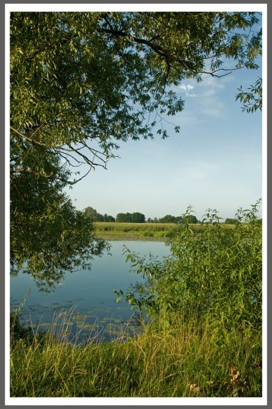 Нижча Дубечня з panoramio.com - Низшая Дубечня
