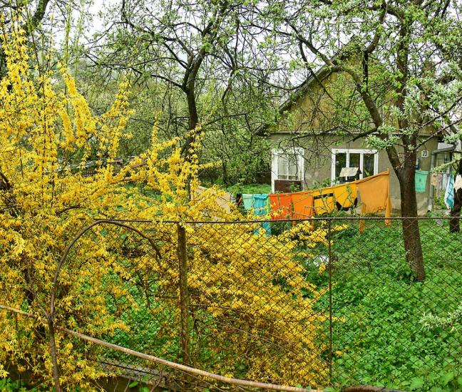 Делятин з panoramio.com - Делятин