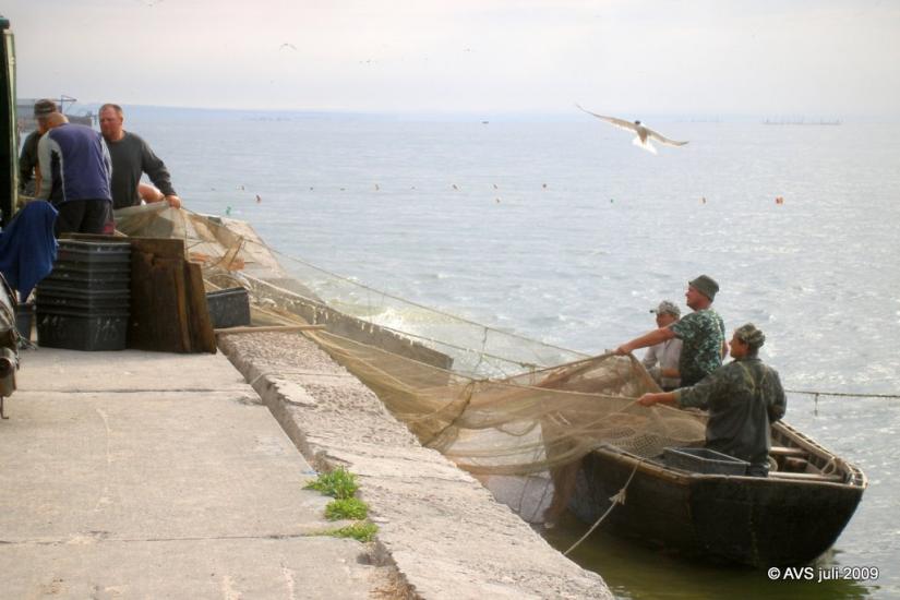 Сєдове з panoramio.com - Седово