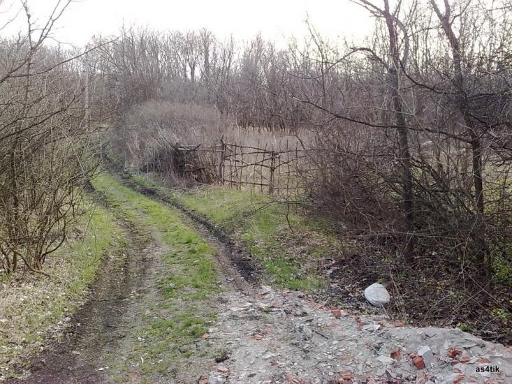 Щастя з panoramio.com - Schastya