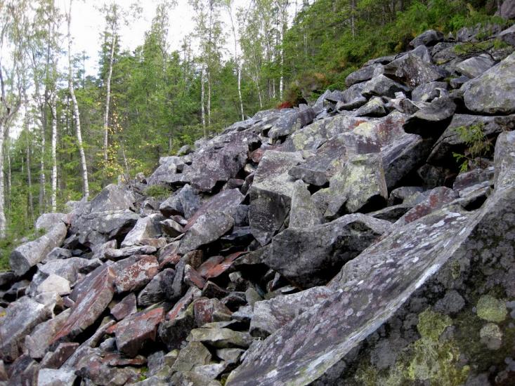 Максимець з panoramio.com - Maksymets
