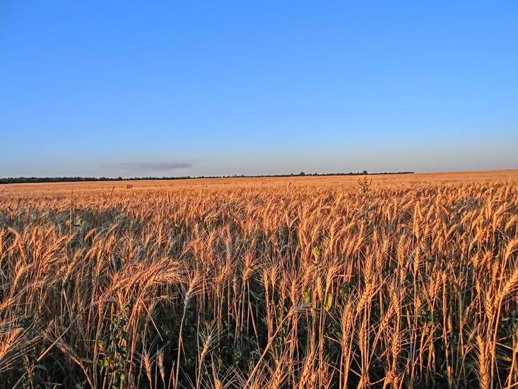 Головківка з panoramio.com - Головковка