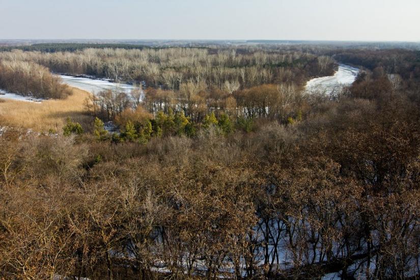 Правобережна Сокілка з panoramio.com - Правобережна Сокілка