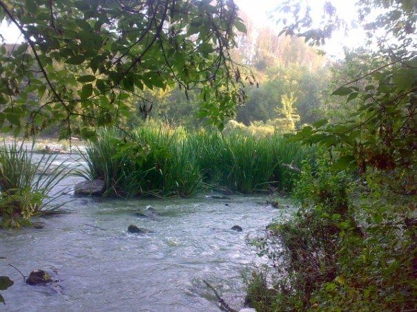 Голодьки з panoramio.com - Голодьки