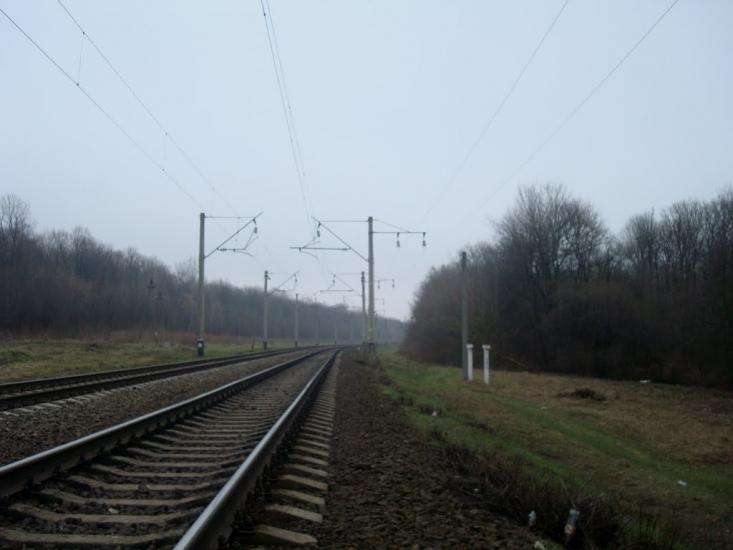 Васютинці з panoramio.com - Васютинці
