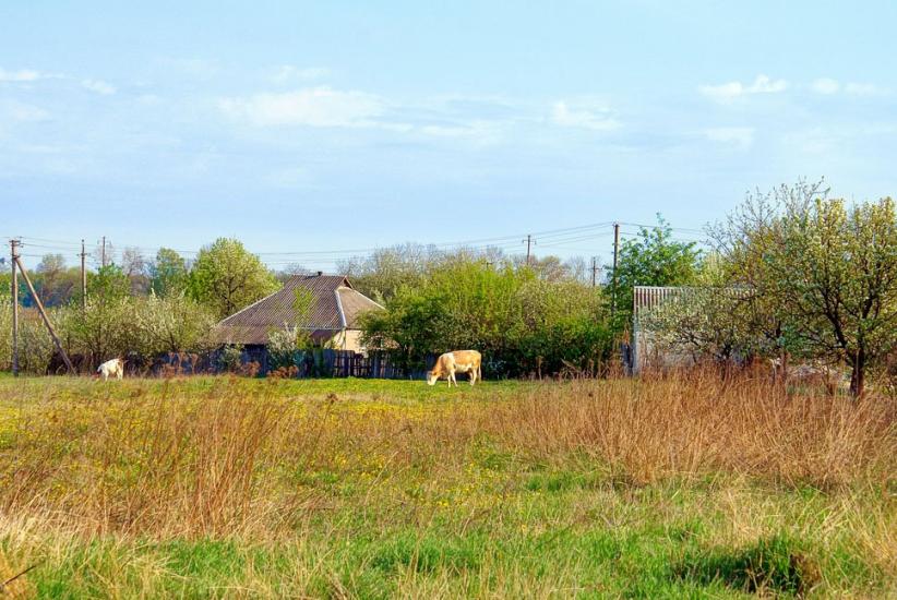 Коротич з panoramio.com - Коротыч