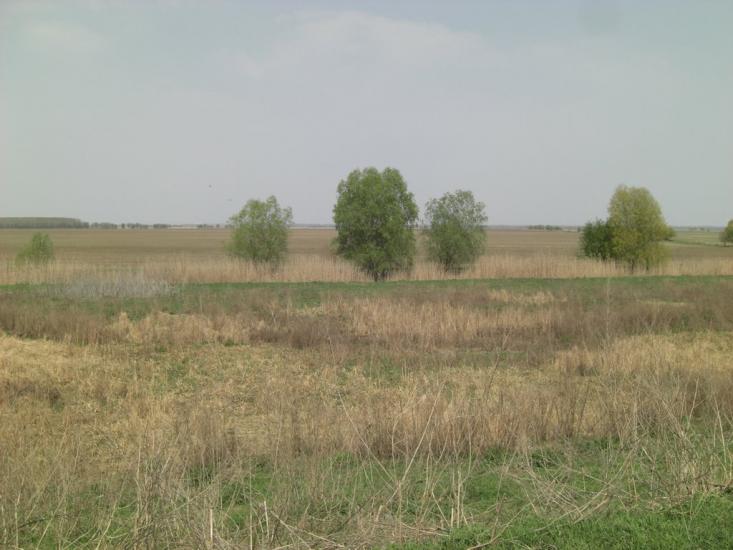Матроська з panoramio.com - Матросская