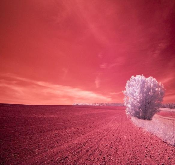 Гулі з panoramio.com - Гулі