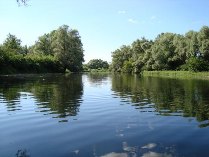 Келеберда з panoramio.com - Келеберда