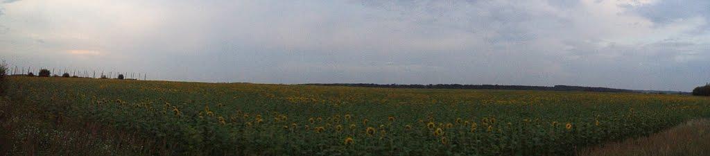 Житомир з panoramio.com - Житомир