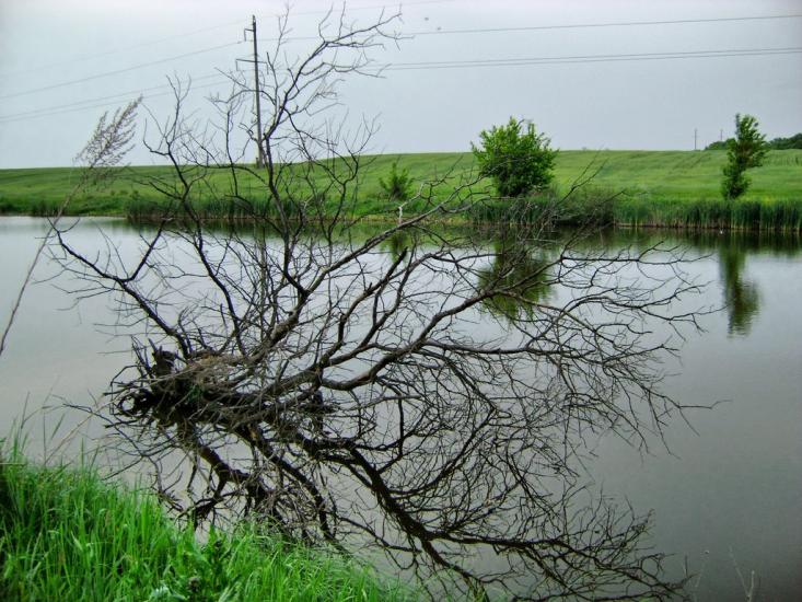 Коротич з panoramio.com - Коротыч