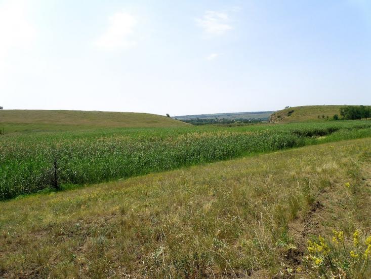 Княгинівка з panoramio.com - Княгиневка