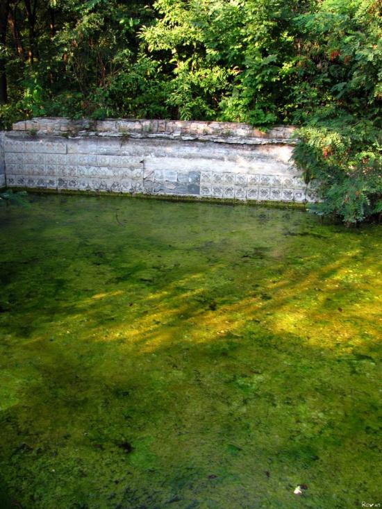 Зайченки з panoramio.com - Зайченки