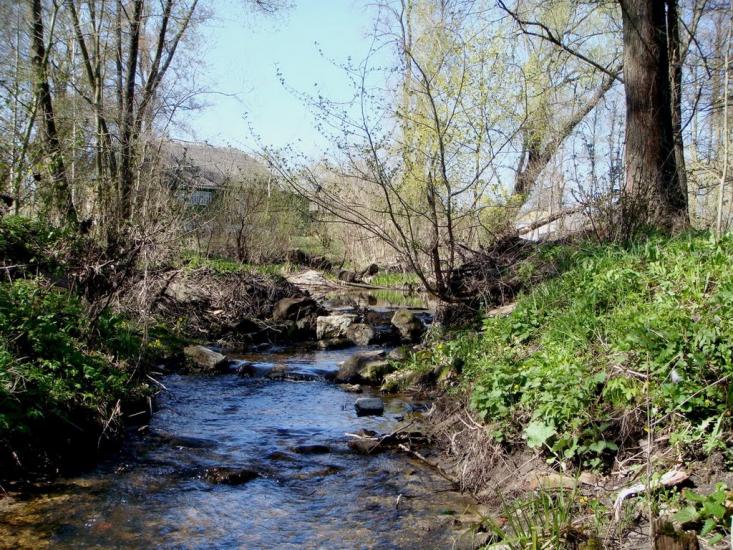Мелені з panoramio.com - Meleni