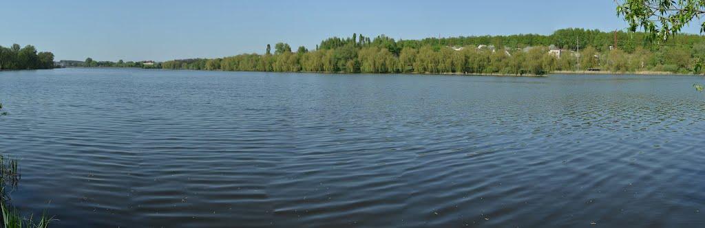 Городецьке з panoramio.com - Gorodetske