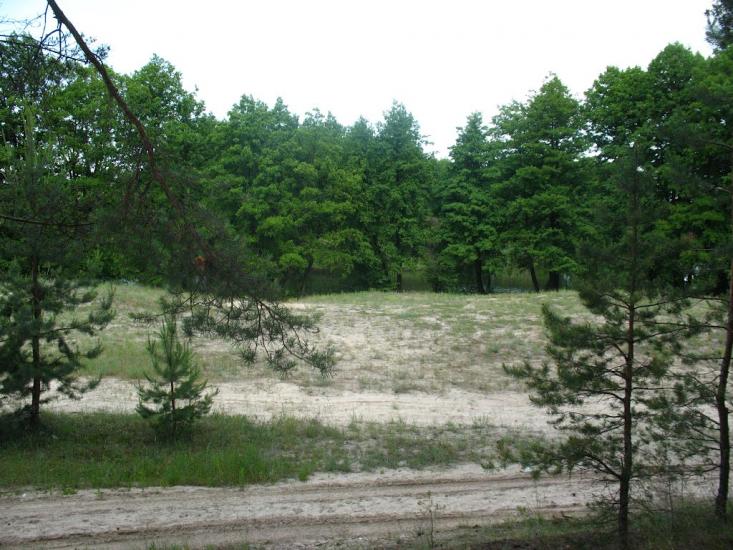 Приліпка з panoramio.com - Прилипка