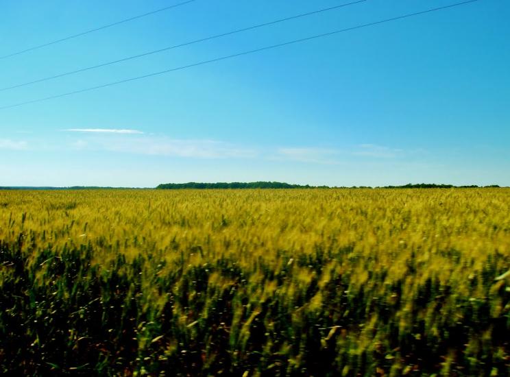 Козацьке з panoramio.com - Казацкое