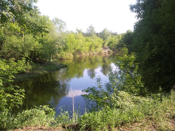 Велика Чернеччина з panoramio.com - Велика Чернеччина