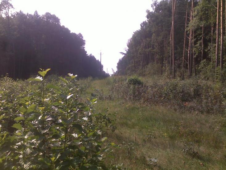 Бодячів з panoramio.com - Бодячев