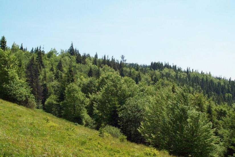 Коростів з panoramio.com - Коростов
