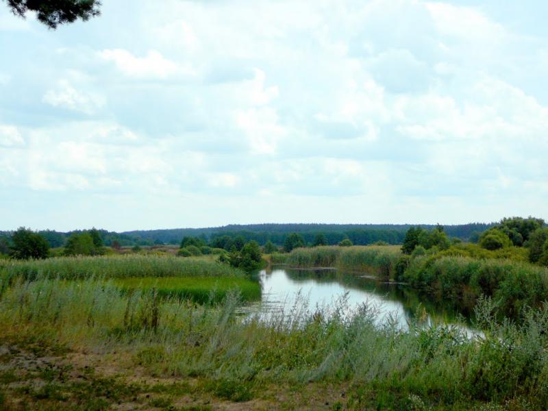 Кам'янка з panoramio.com - Каменка