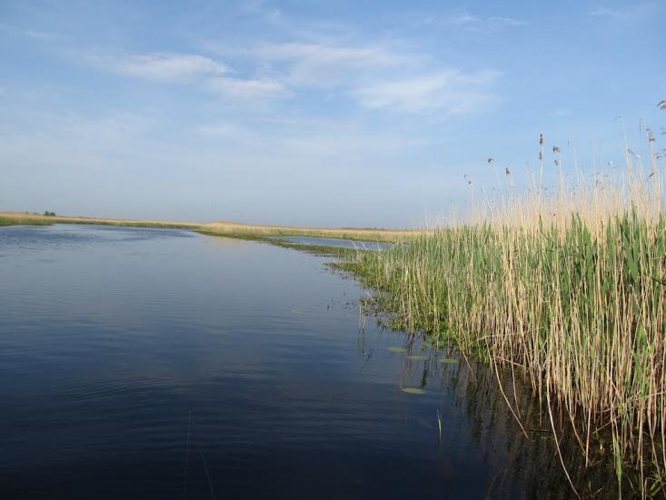 Ниговищі з panoramio.com - Ниговищи