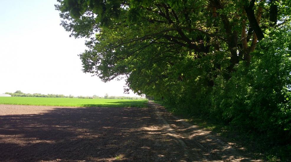 Дзензелівка з panoramio.com - Дзензелівка